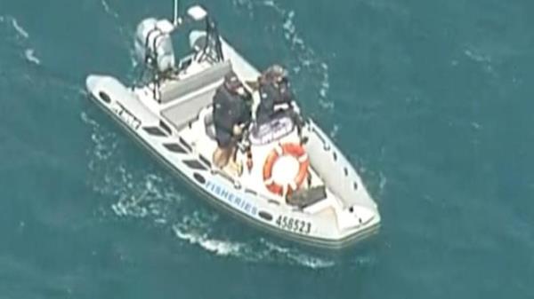 Emergency rescue perso<em></em>nnel search for Tod Gendle after he was attacked by a shark near Streaky Bay. 7 News